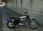 Harley-Davidson XL1200 C Sportster